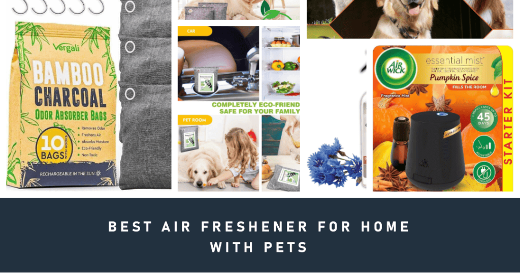 Best Air Freshener For Home With Pets